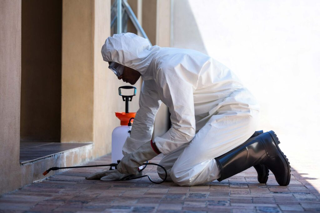 Pest Control Company in Saskatoon
