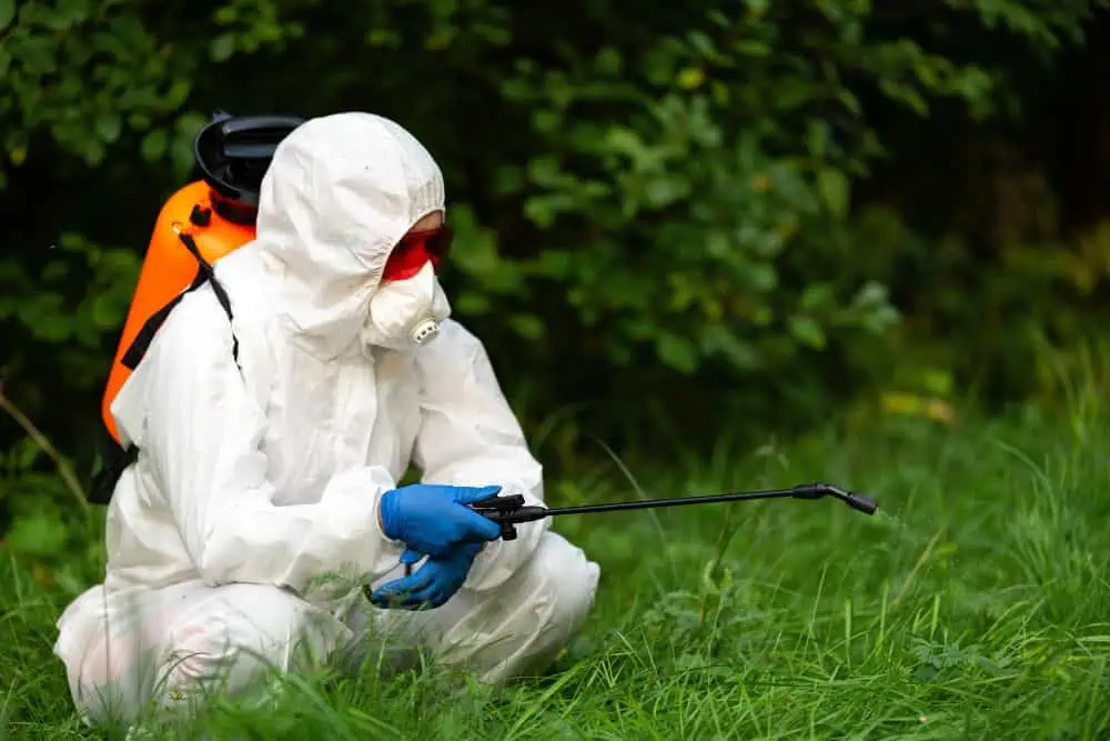 best pest control in Winnipeg